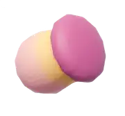 Boletales Extraño (Rosa)