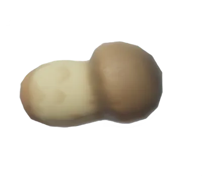 Matsutake