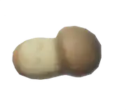 Matsutake
