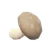 Shiitake