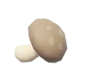 Shiitake