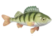 Perca de río