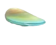 Mejillón