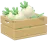 Rábano