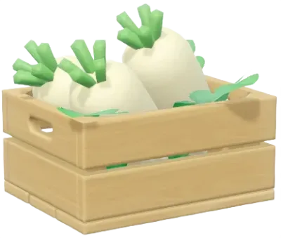 Rábano
