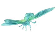 Mariposa alas de pájaro de cristal nevado