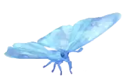 Mariposa morpho sulkowskyi de cristal nevado
