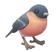 Camachuelo Común