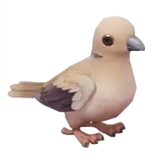 Tórtola Turca