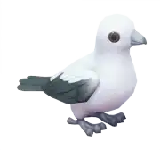 Dúcula Bicolor