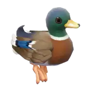 Ánade Real