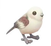 Mito Común