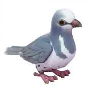 Paloma Wonga
