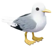 Gaviota