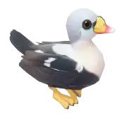 Éider Real