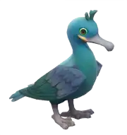 Cormorán Moñudo