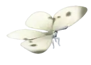 Blanquita de la col