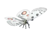Mariposa apolo