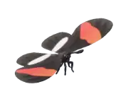 Mariposa mormona escarlata