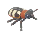 Escarabajo del espárrago