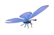 Mariposa ícaro