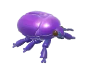 Escarabajo de estrella azul