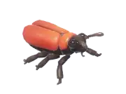 Escarabajo pirocróido