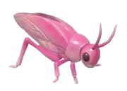 Saltamontes rosado