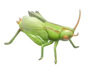 Saltamontes