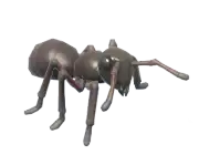 Hormiga