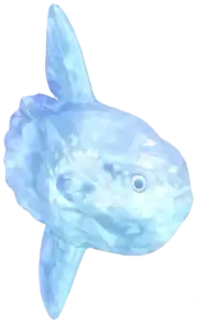 Pez luna de cristal nevado