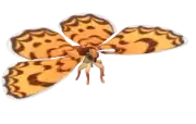 Mariposa leopardo de red