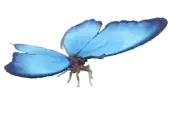Mariposa morpho azul
