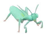 Mantis hacha de Papúa