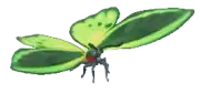 Mariposa del priamus