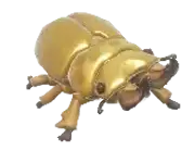 Escarabajo oscuro de oro