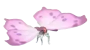 Mariposa madreperla