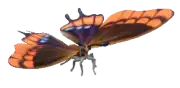 Mariposa coma amarilla