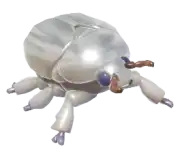 Escarabajo platinoro