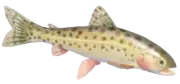 Salmón Keta
