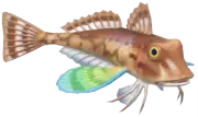 Pez Rubio