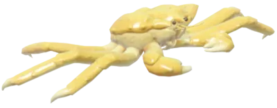 Cangrejo rey de oro