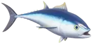 Atún aleta azul