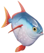 Opah