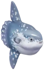 Pez Luna