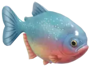 Piraña de vientre rojo