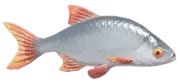 Rutilo