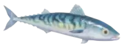 Caballa