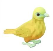 Tilopo Dorado