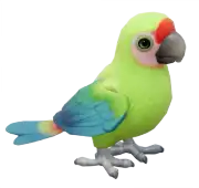 Guacamayo Ambiguo